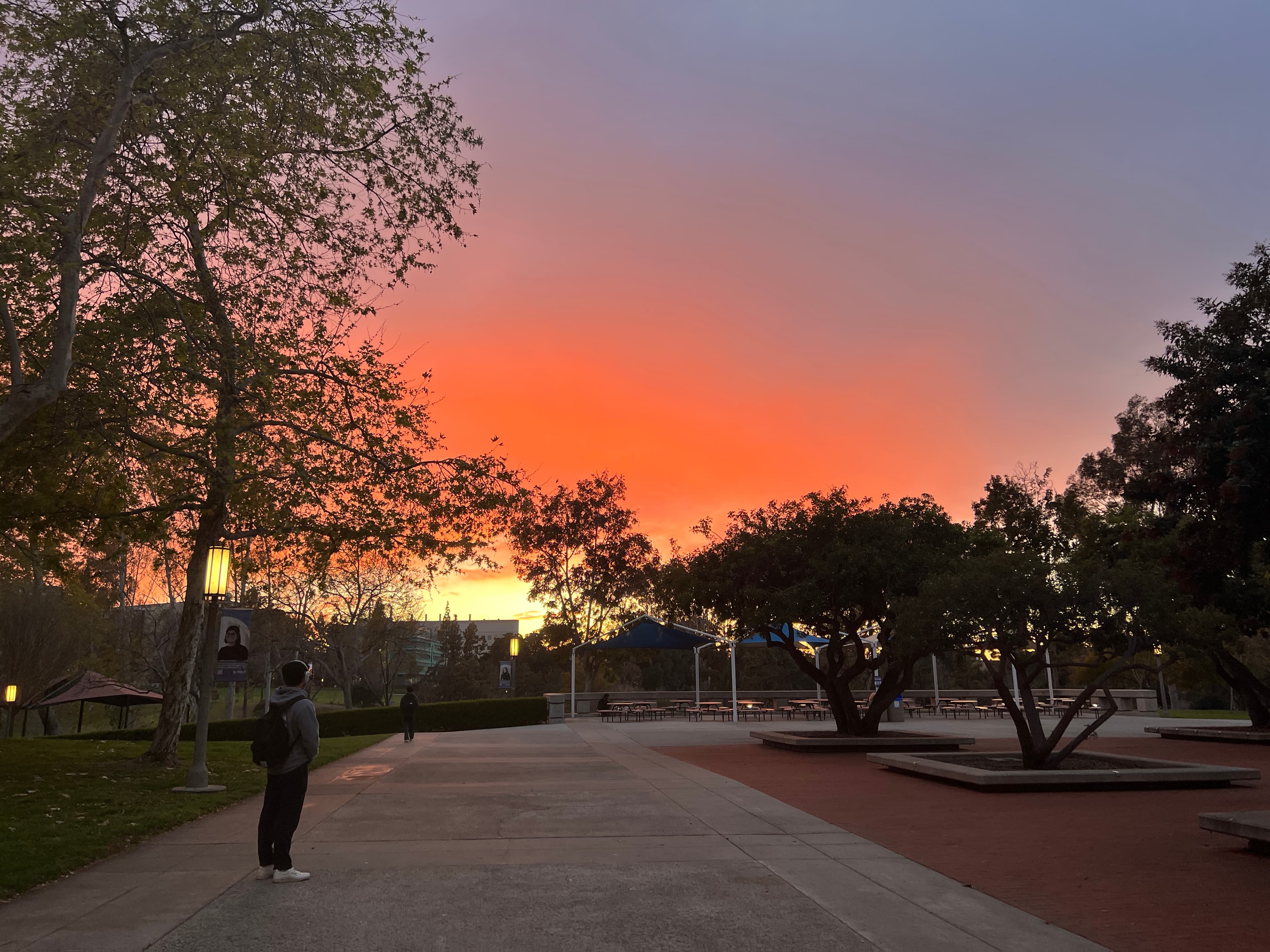UCI sunset